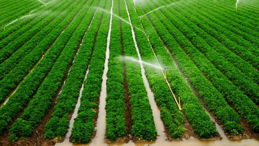 Irrigation Installation Services in Nairobi and Kenya
