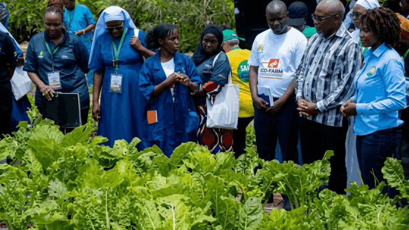 Agricultural Training & Workshops in Kenya