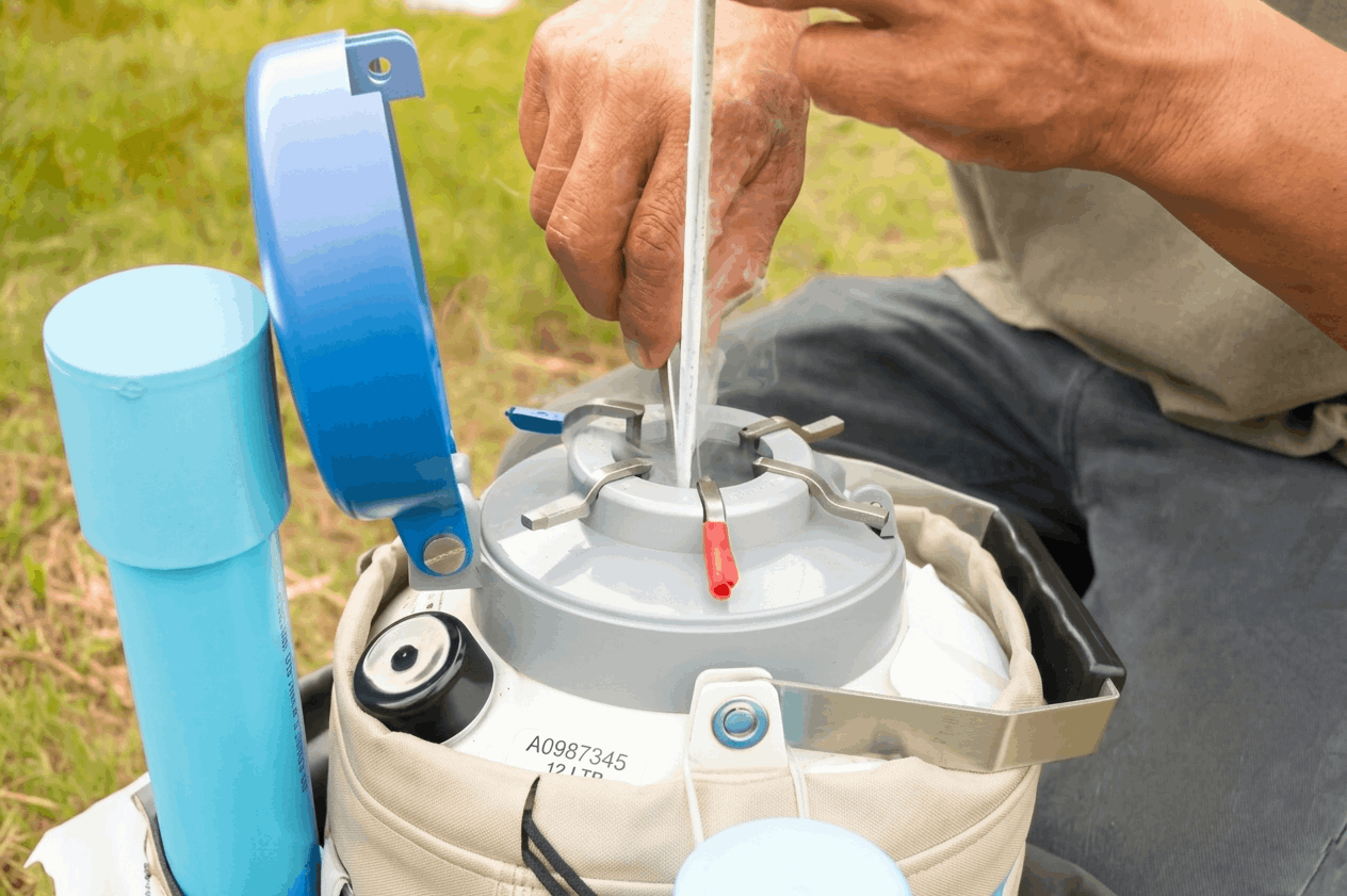 Artificial Insemination Services in Nairobi and Kenya