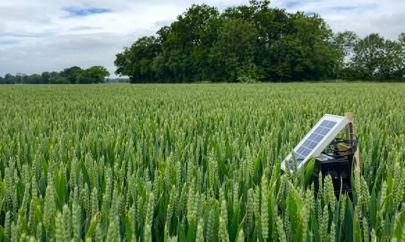 Smart Agriculture Tools in Kenya