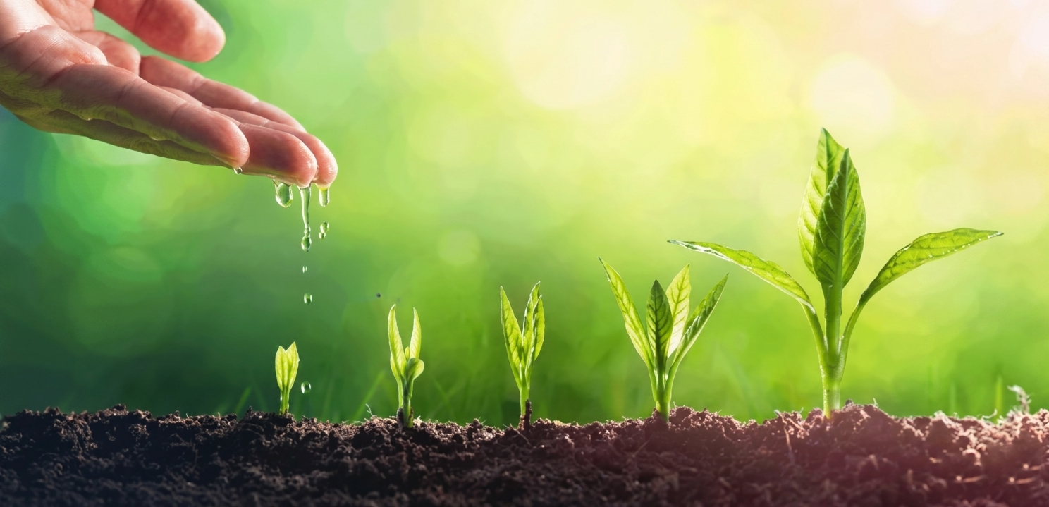 Organic Farming Inputs in Kenya for Sustainable Growth