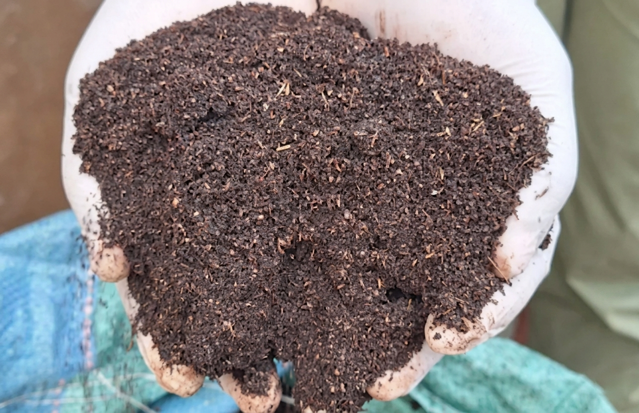 Organic Farming Inputs in Kenya for Sustainable Growth