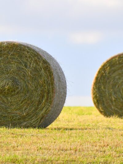 Feeds & Fertilizer