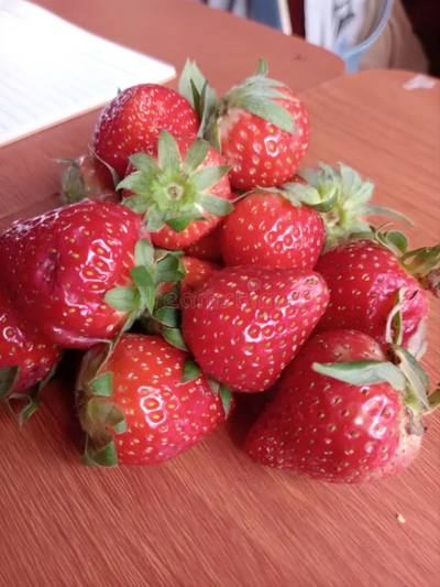 Fruits