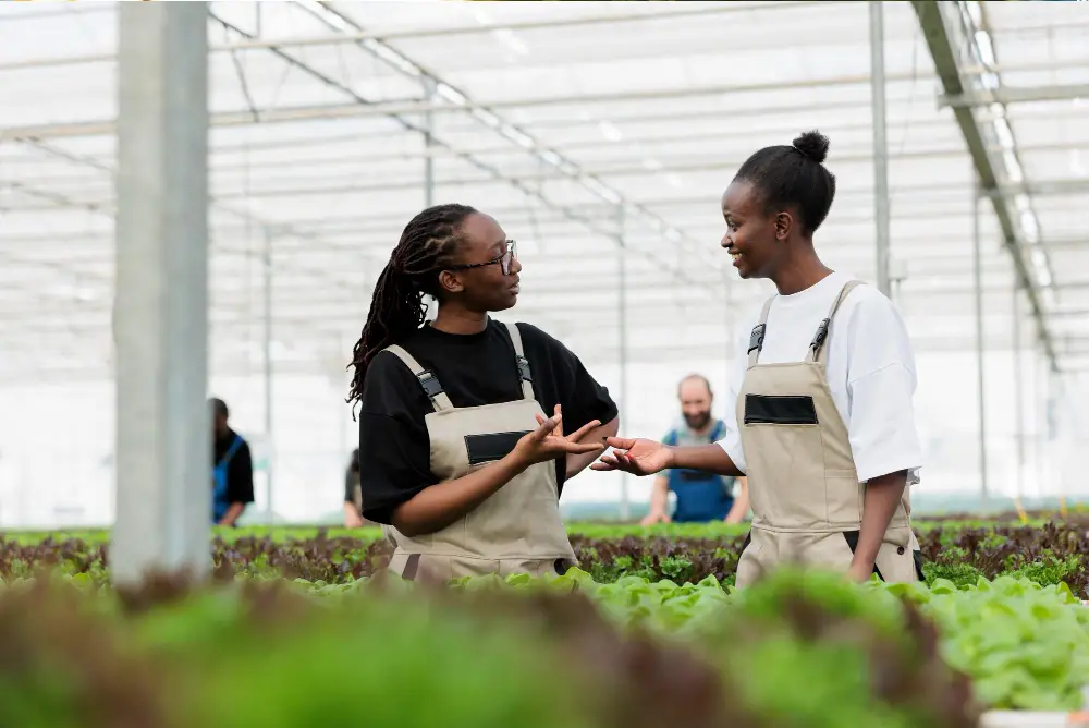 Agronomis service in kenya